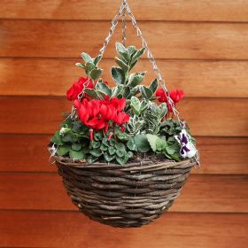 Winter Rustic Wicker Hanging Basket 30cm
